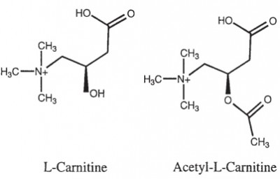 L-carnitine dan acetyle-l-carnitine