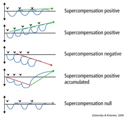 Supercompensation Dalam Latihan